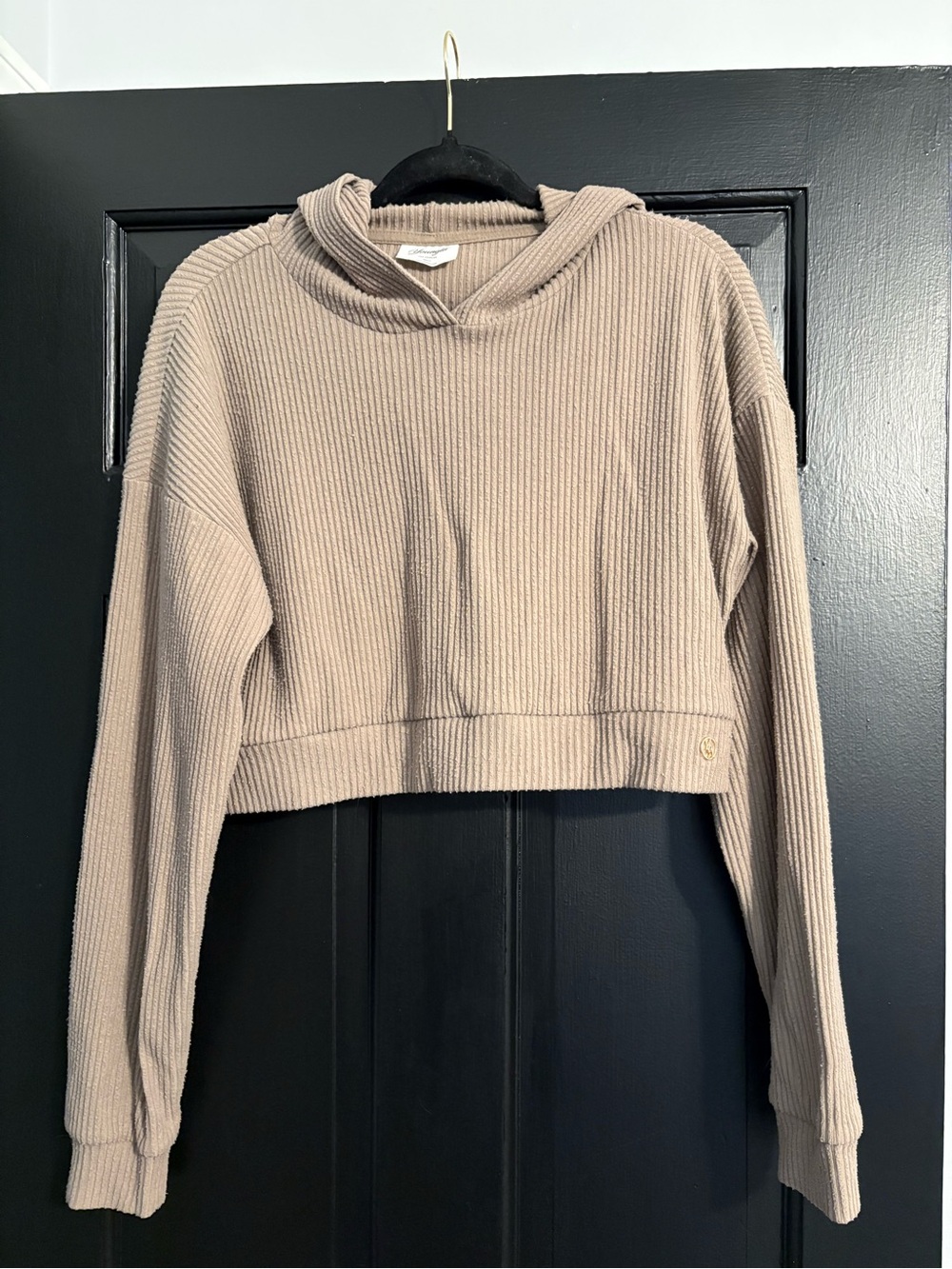 YoungLA Ribbed Cropped Hoodie in Taupe